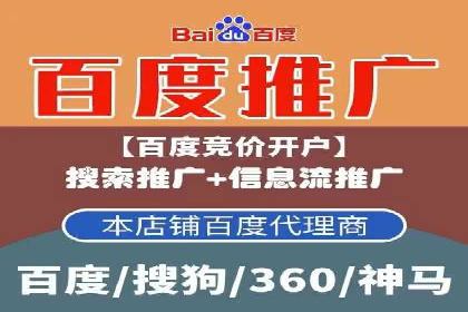 SEM推广代运营公司：实战案例解析
